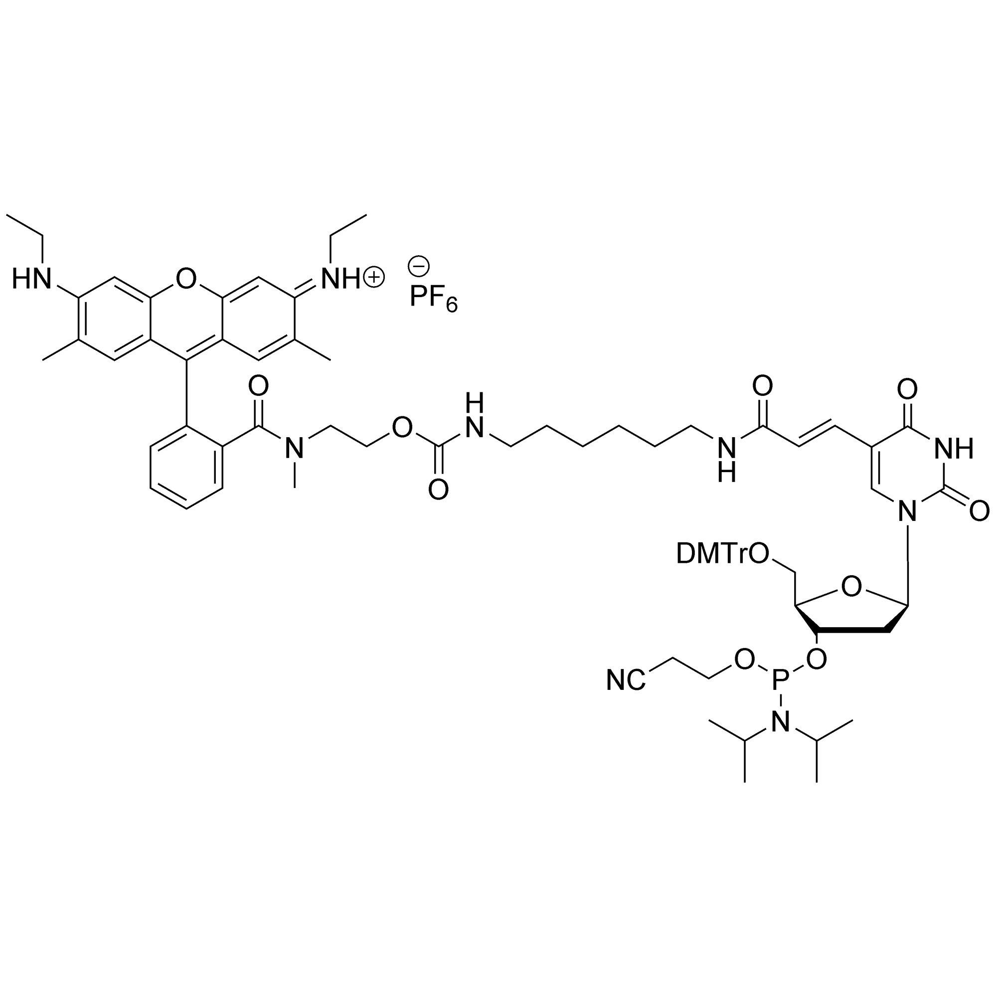 CAL Fluor Orange 560 C6 dT Amidite