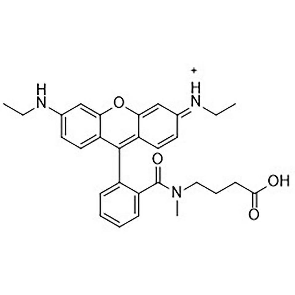 CAL Fluor Orange 560 Carboxylic Acid