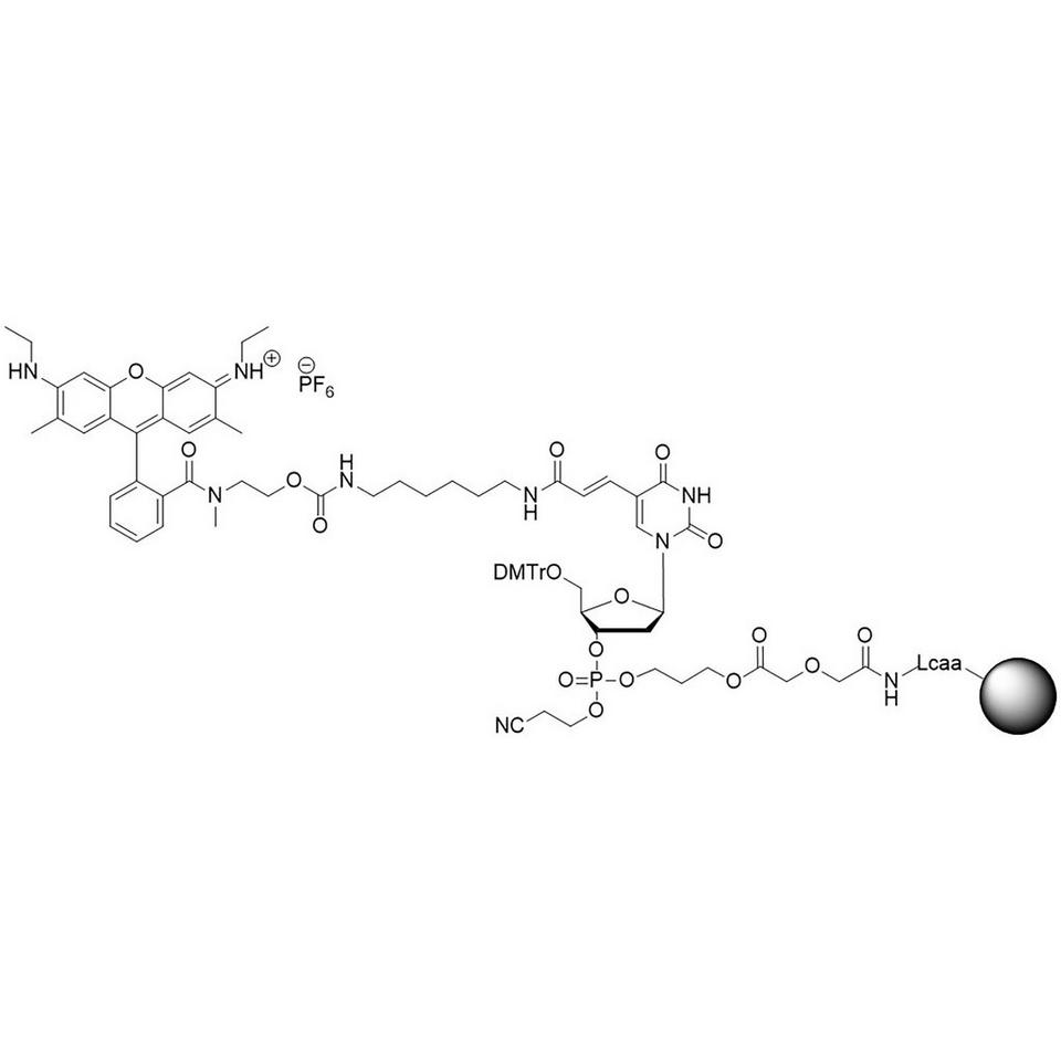 CAL Fluor Orange 560 CPG (5'-DMT-T(C6-CAL Fluor Orange 560)-Glyc-CPG)
