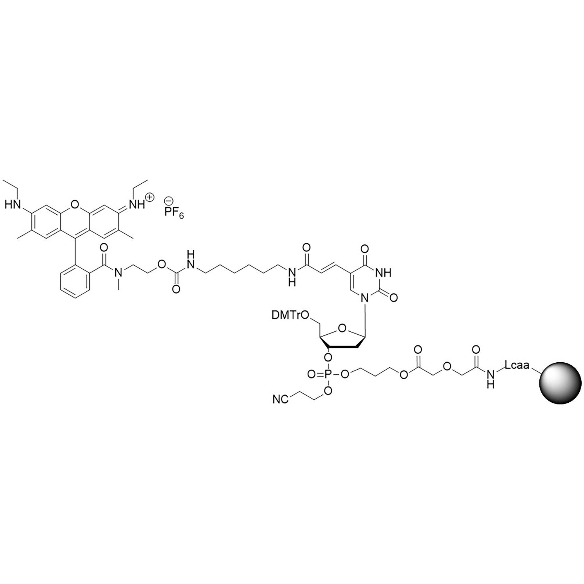 CAL Fluor Orange 560 CPG (5'-DMT-T(C6-CAL Fluor Orange 560)-Glyc-CPG) Column