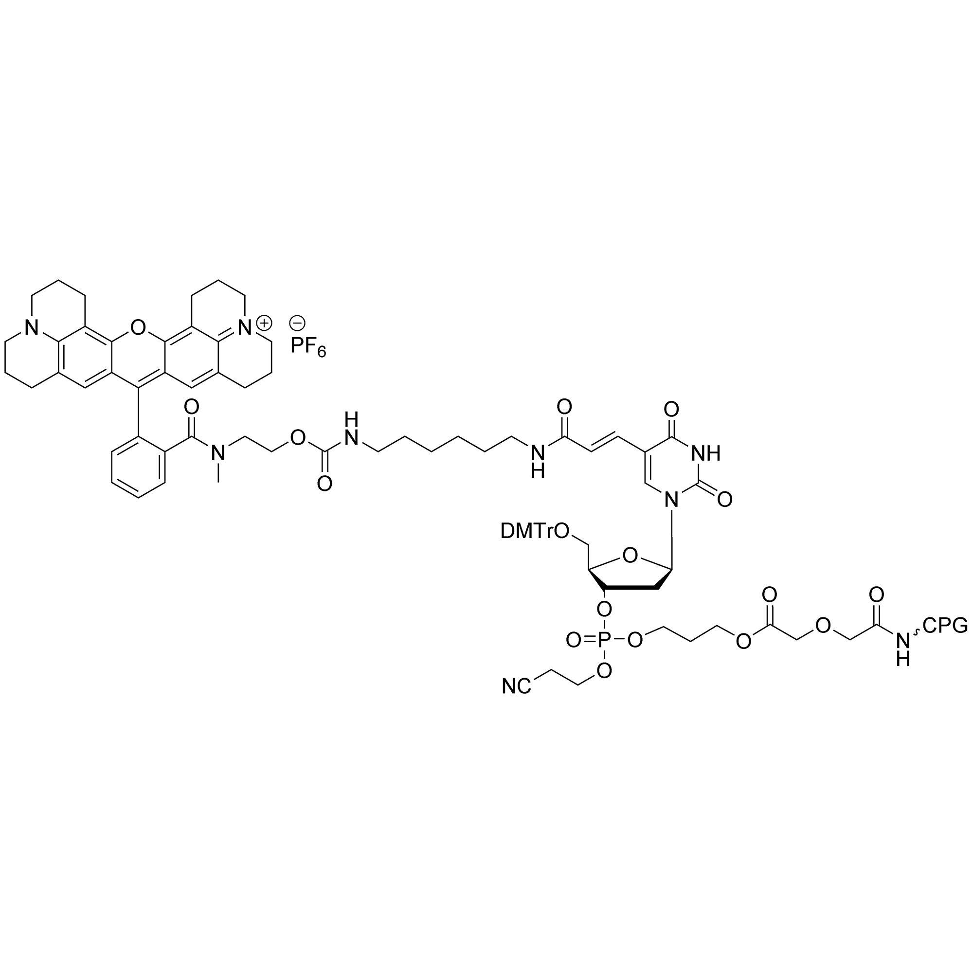 CAL Fluor Red 610 CPG