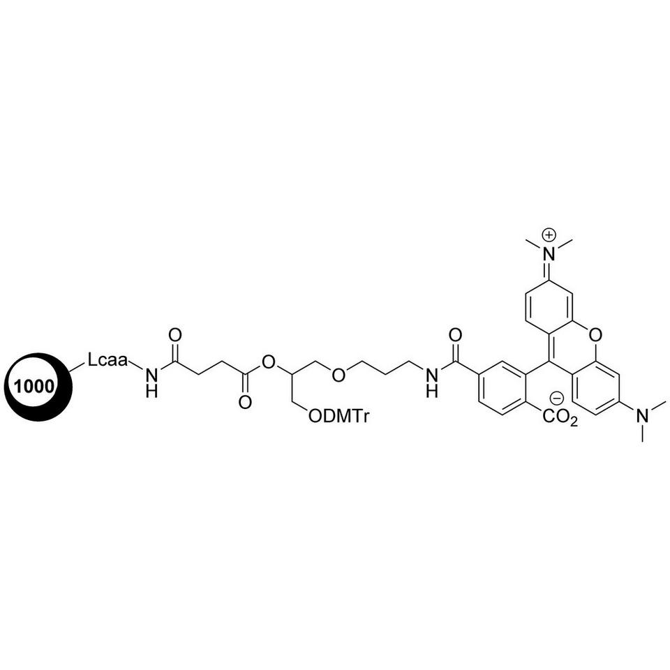 3'-TAMRA Succinyl-CPG