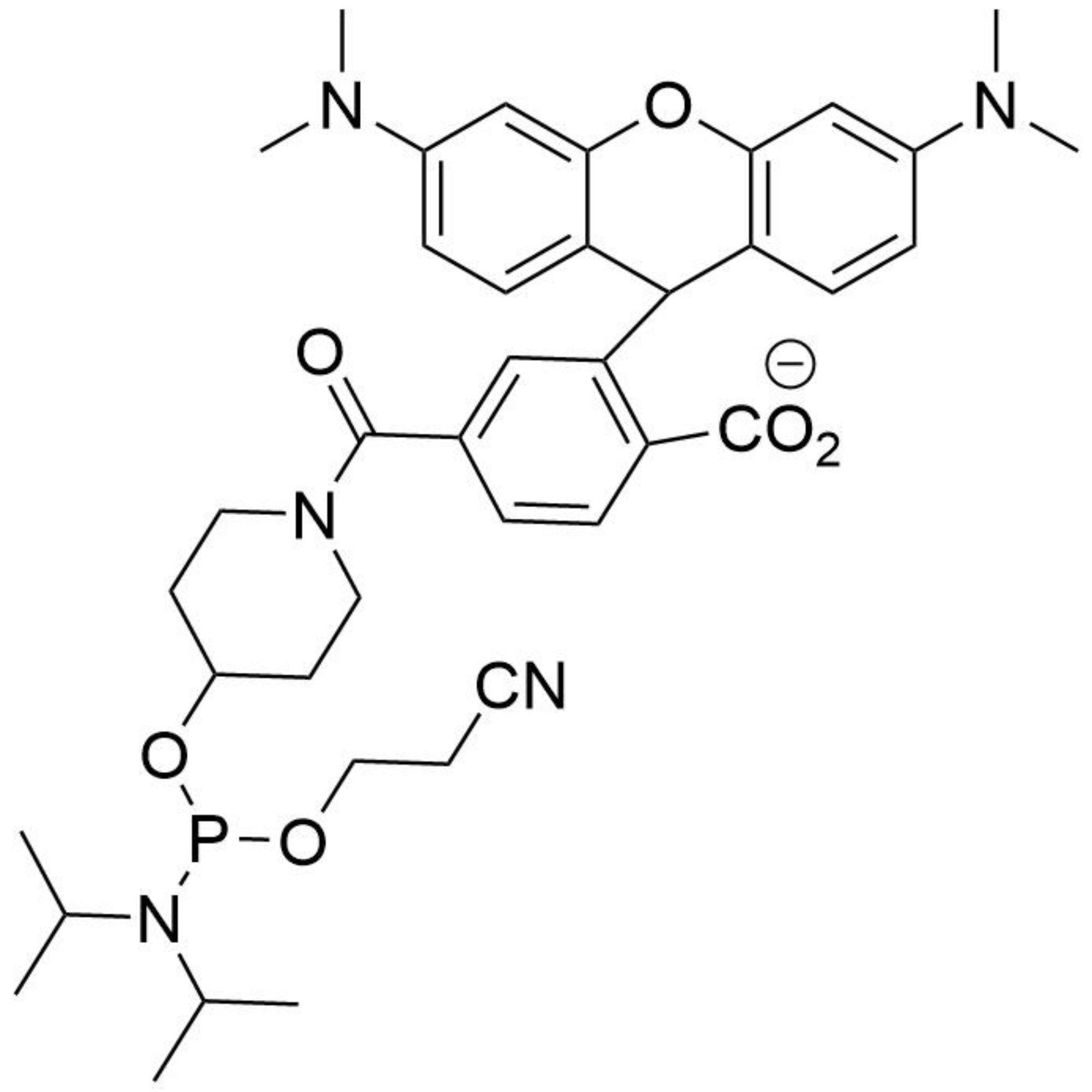 5'-TAMRA Amidite (N-TAMRA-Piperidinyl), 6-Carboxy Single Isomer
