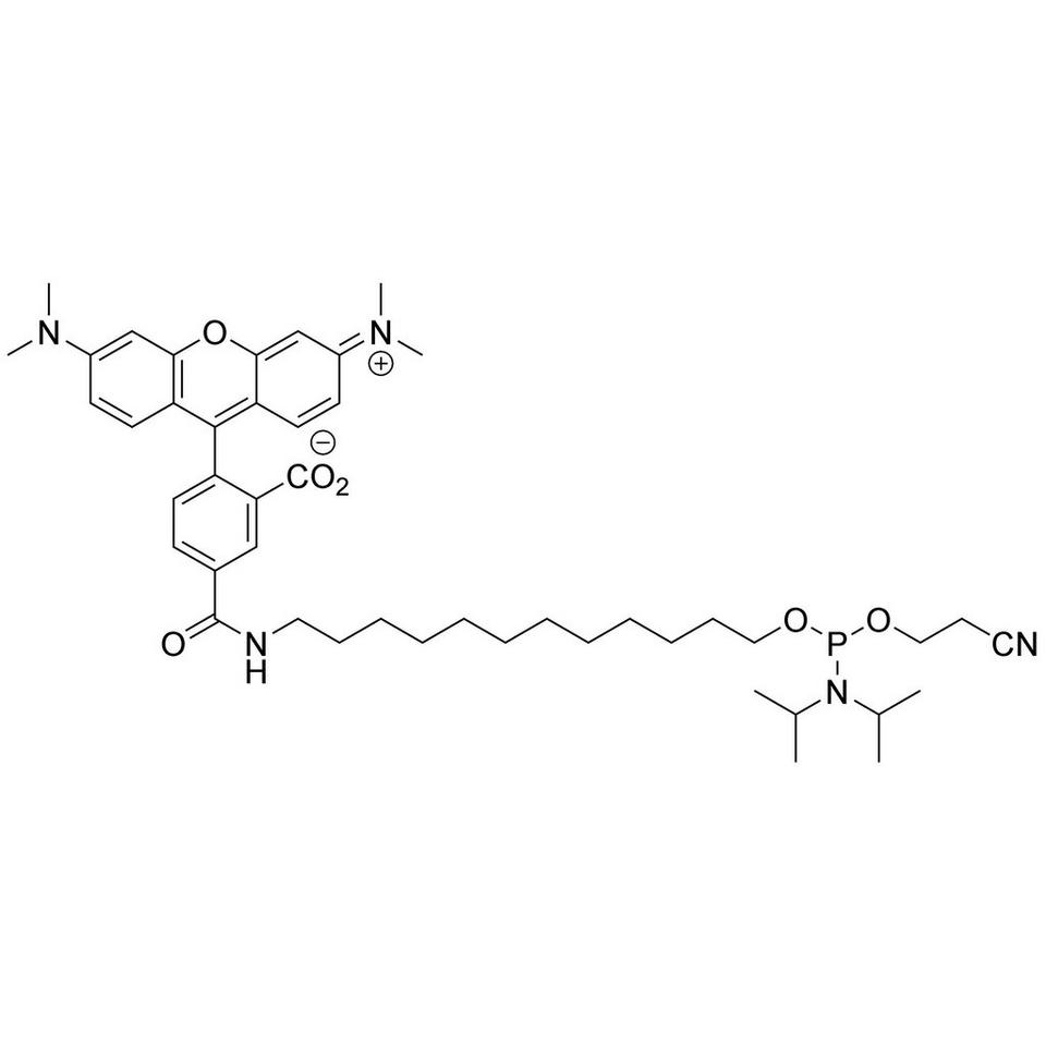 5'-TAMRA C12 Amidite (5-Isomer)