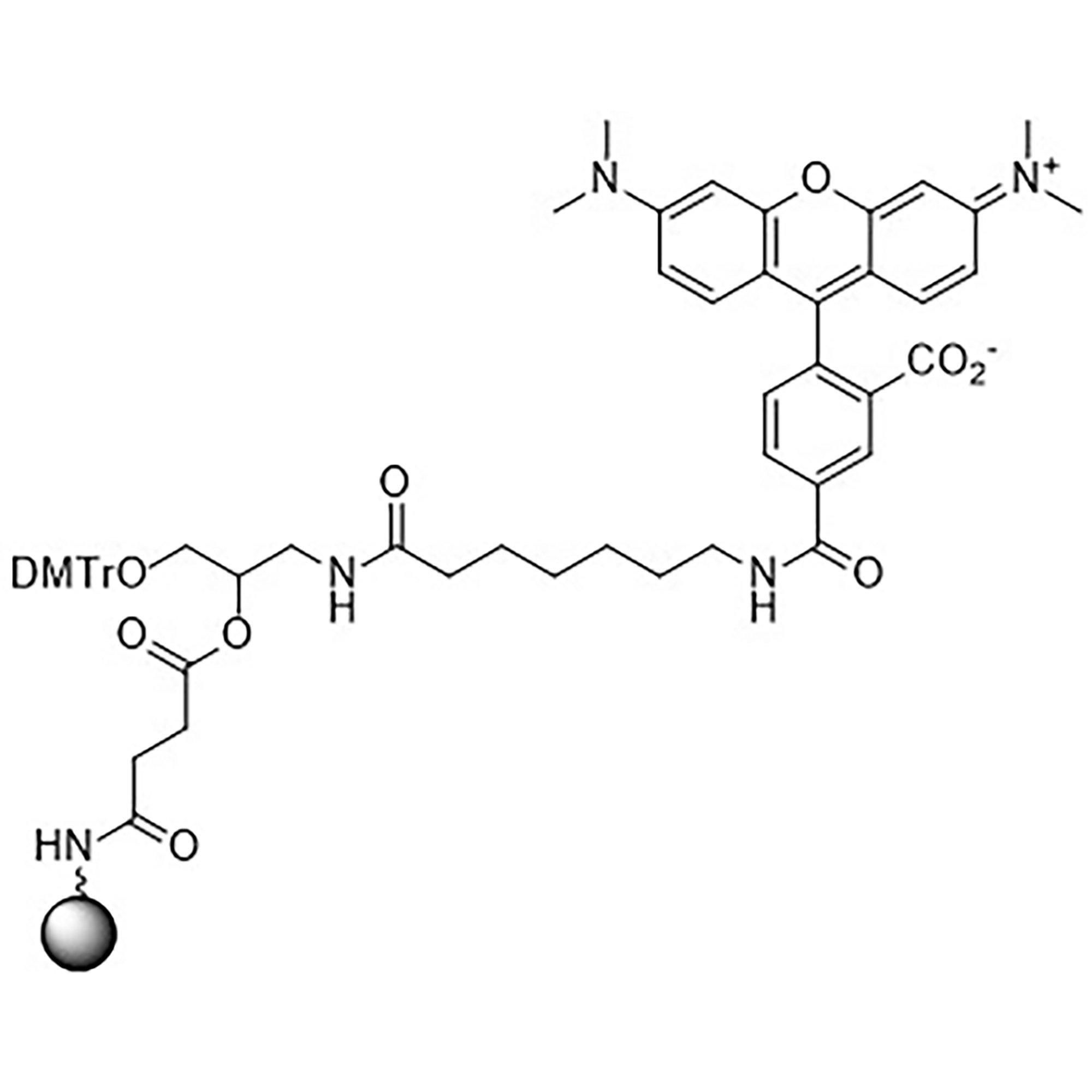 TAMRA-C9-Suc-CPG, 5-Carboxy Single Isomer