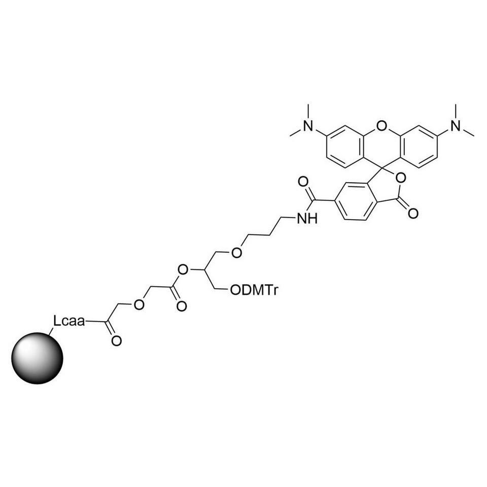 3'-TAMRA Glycolate-CPG