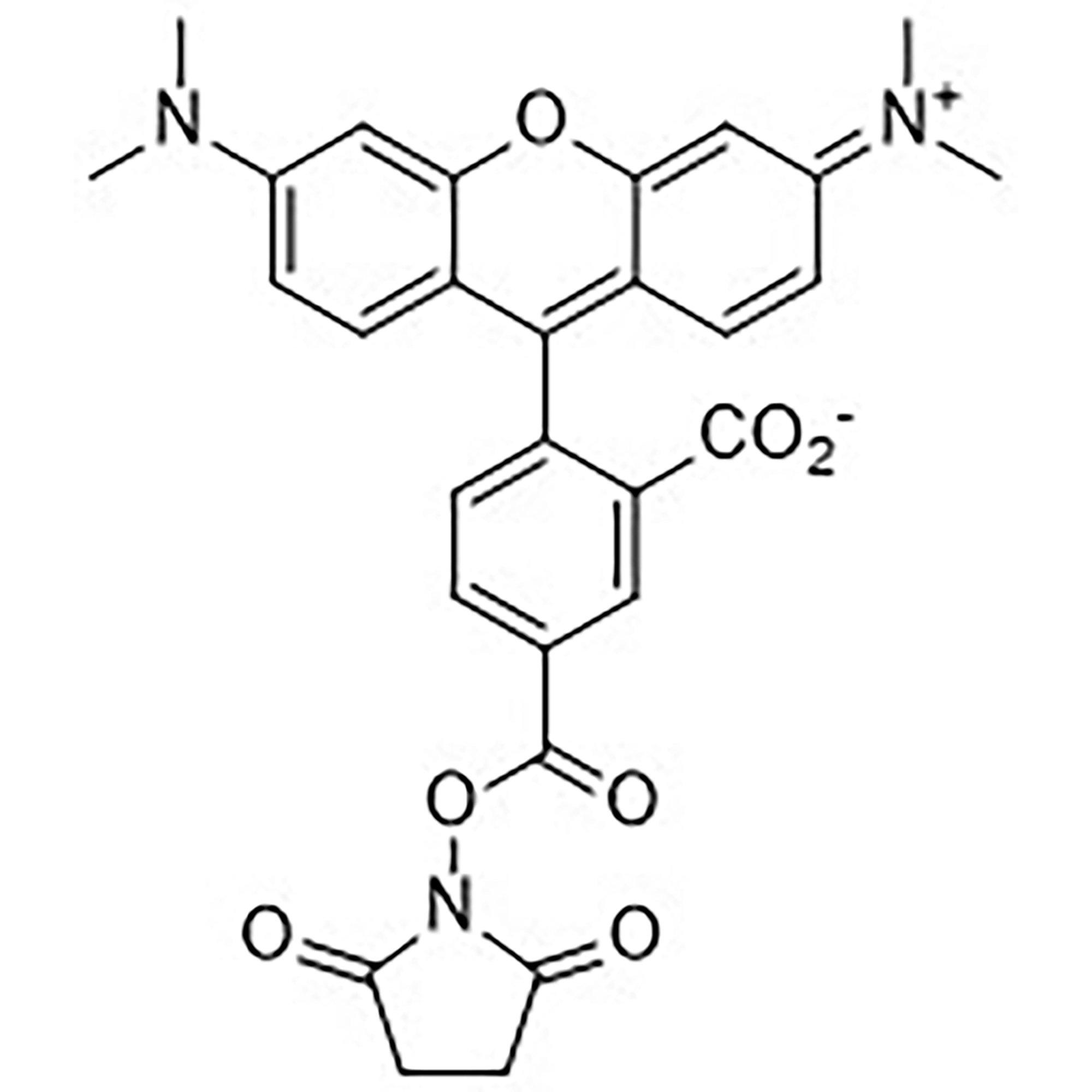 5-Carboxytetramethylrhodamine N-Hydroxysuccinimide Ester