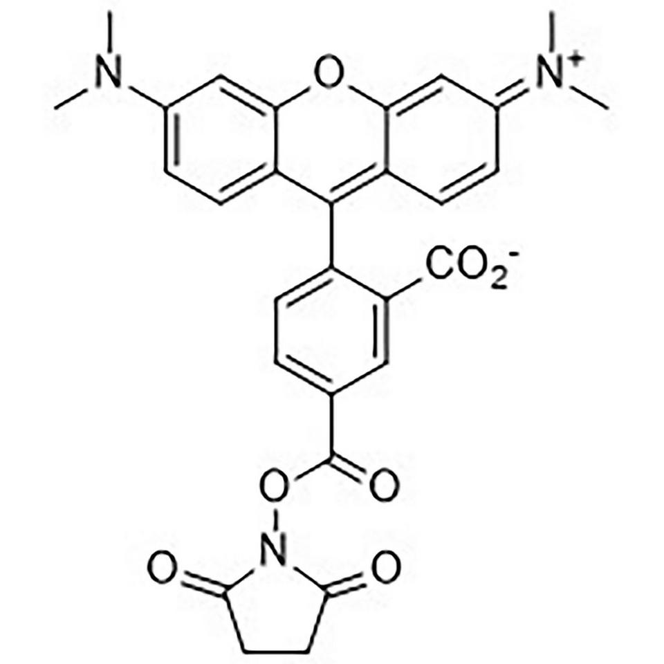 5-Carboxytetramethylrhodamine N-Hydroxysuccinimide Ester