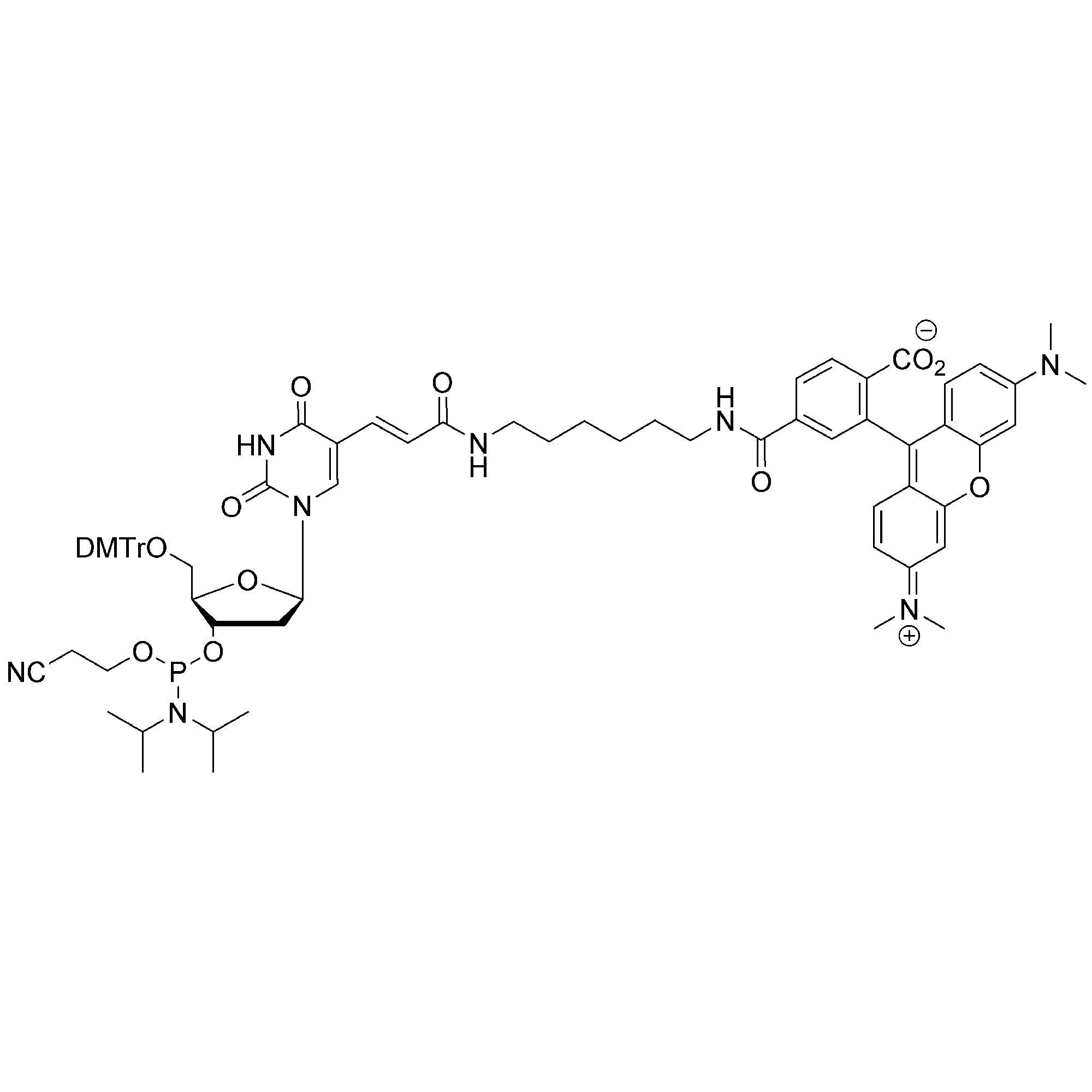 TAMRA-dT CE-Phosphoramidite