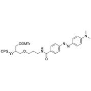 3'-Dabcyl CPG Column