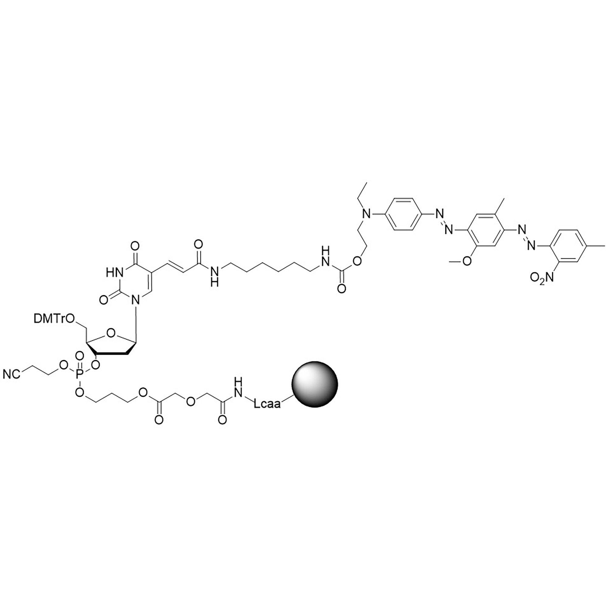 BHQ-1 T Linker Arm CPG