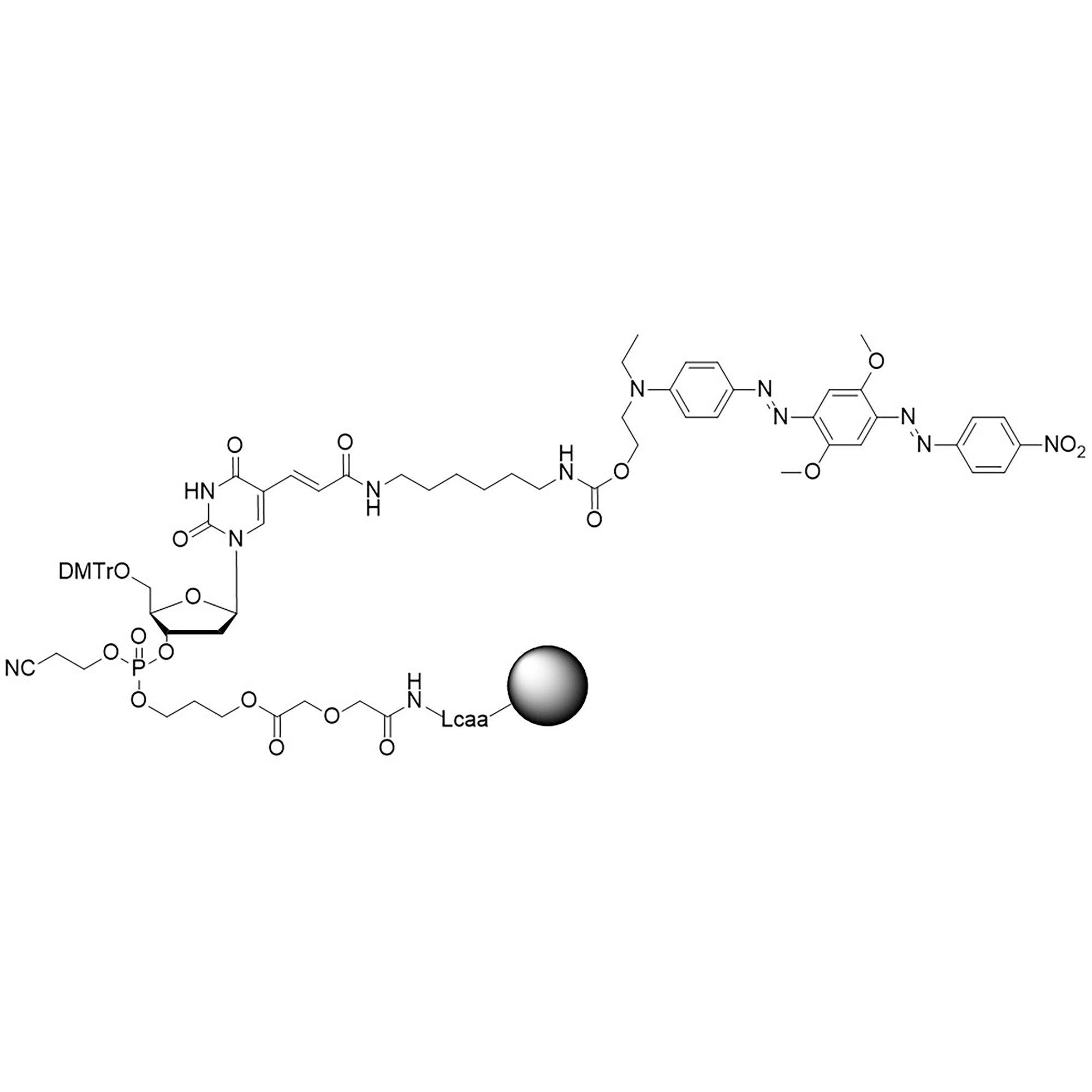 BHQ-2 T Linker Arm CPG