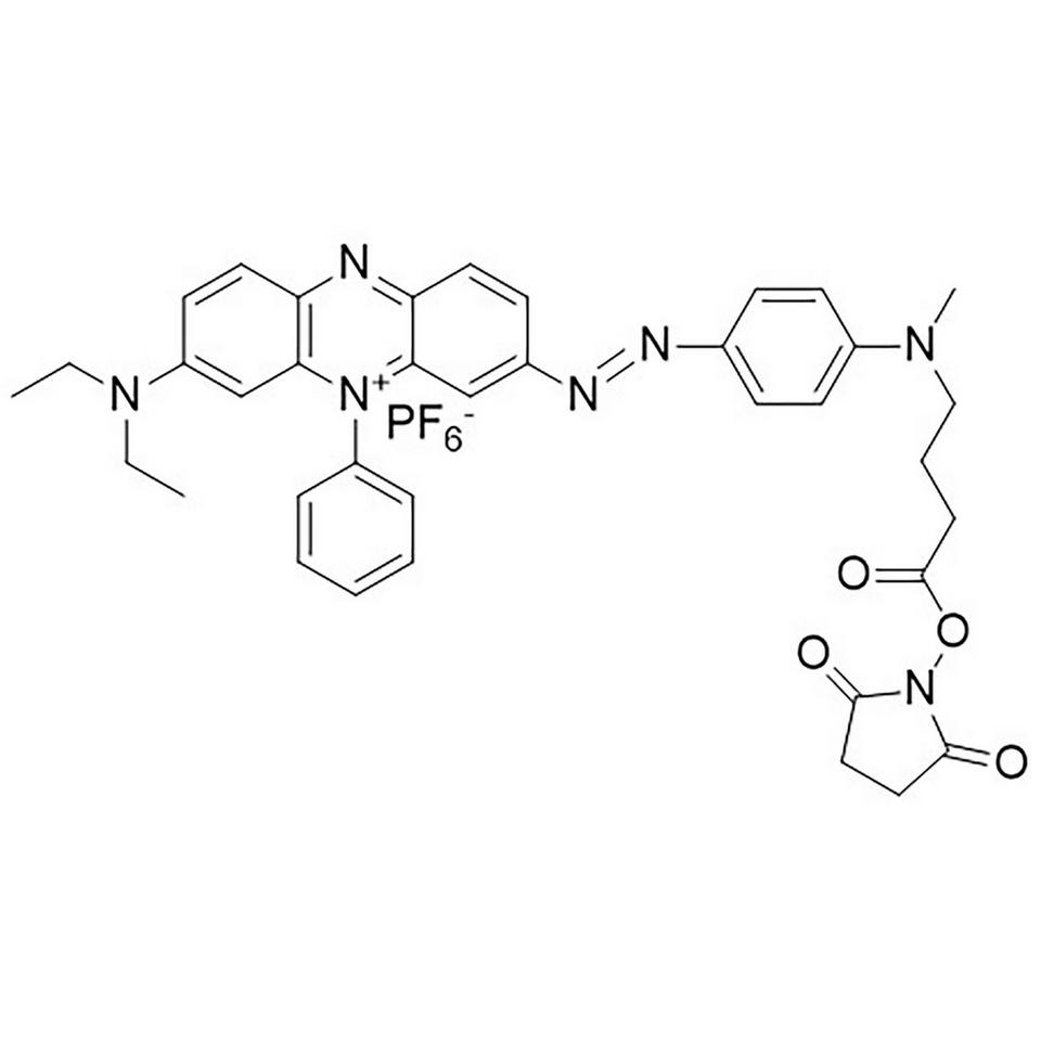 BHQ-3 Carboxylic Acid, Succinimidyl Ester, 5 mg, ABI (5 mL / 20 mm Septum)