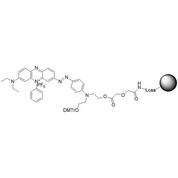 BHQ-3 CPG; Glycolate, Column
