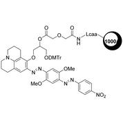 3'-BBQ-650™ CPG II Column, 1000 Å, 1 µmol (Pack of 10), ALL-FIT