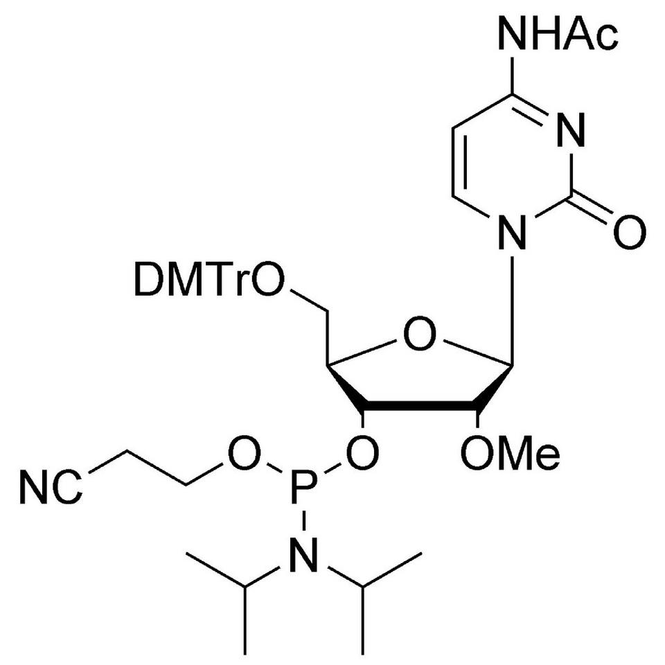 2'-OMe-C (Ac) CE-Phosphoramidite, 1 g, ABI (15 mL / 20 mm Septum)