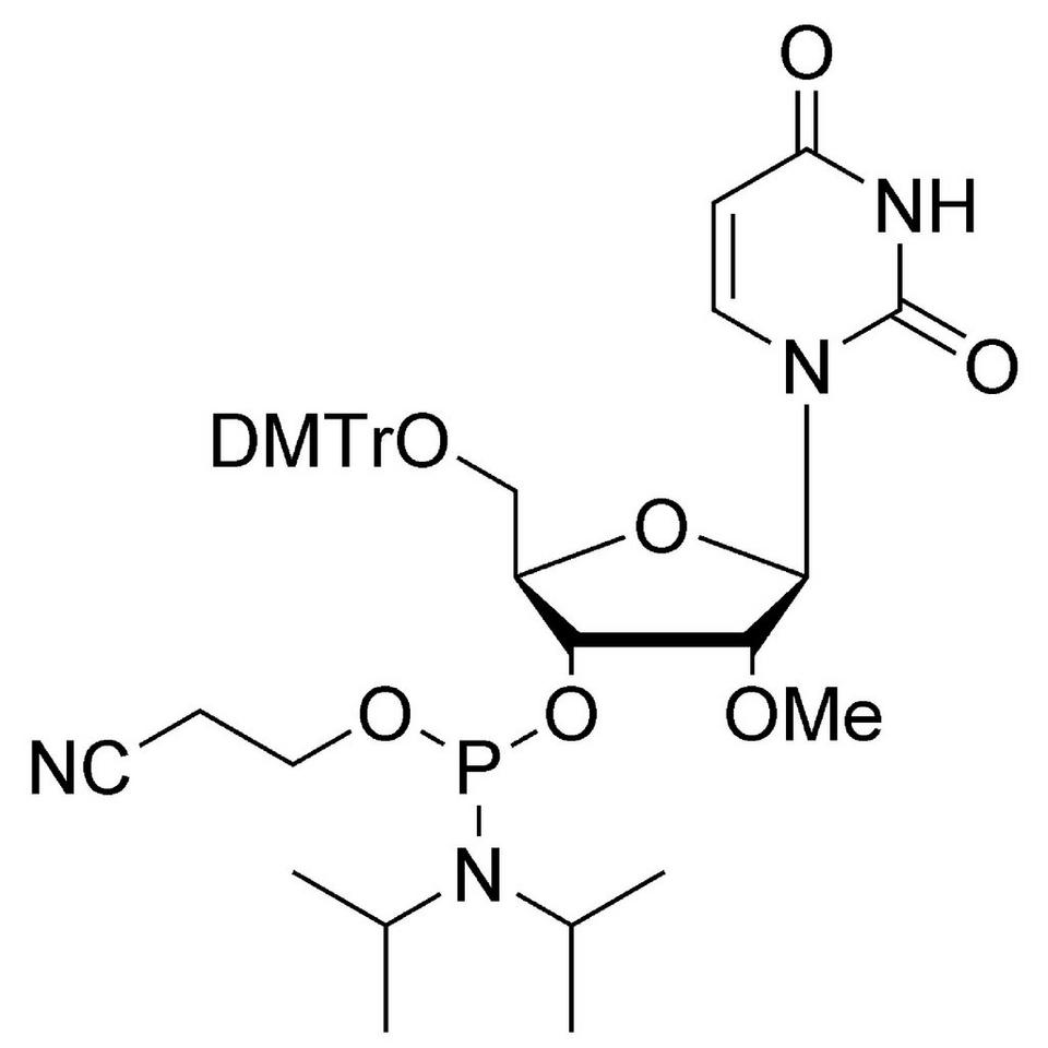 2'-OMe-U CE-Phosphoramidite, 1 g, Expedite (30 mL (1 oz) / 18 mm)