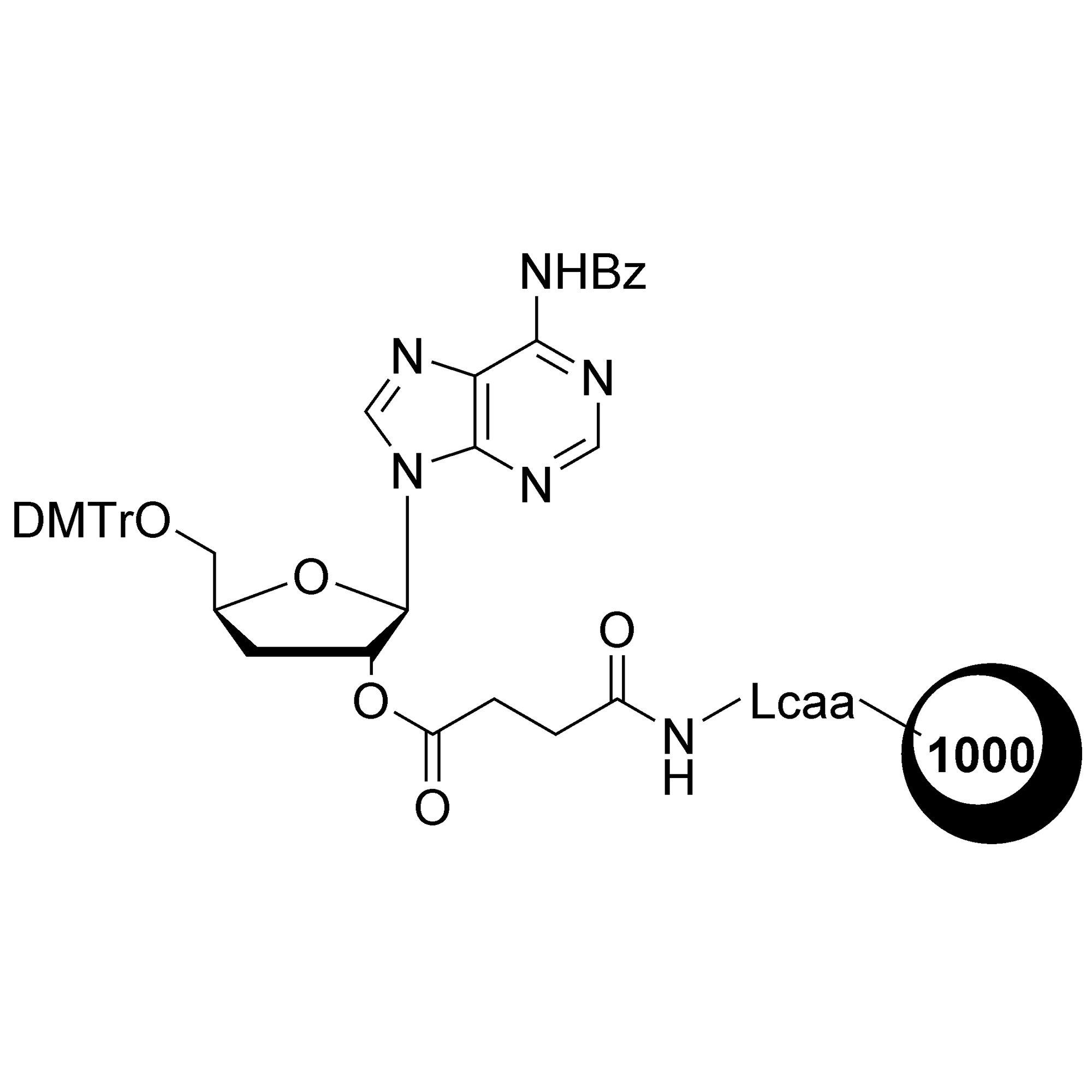 3'-dA CPG, 1000 Å, Standard Loading, BULK (g)