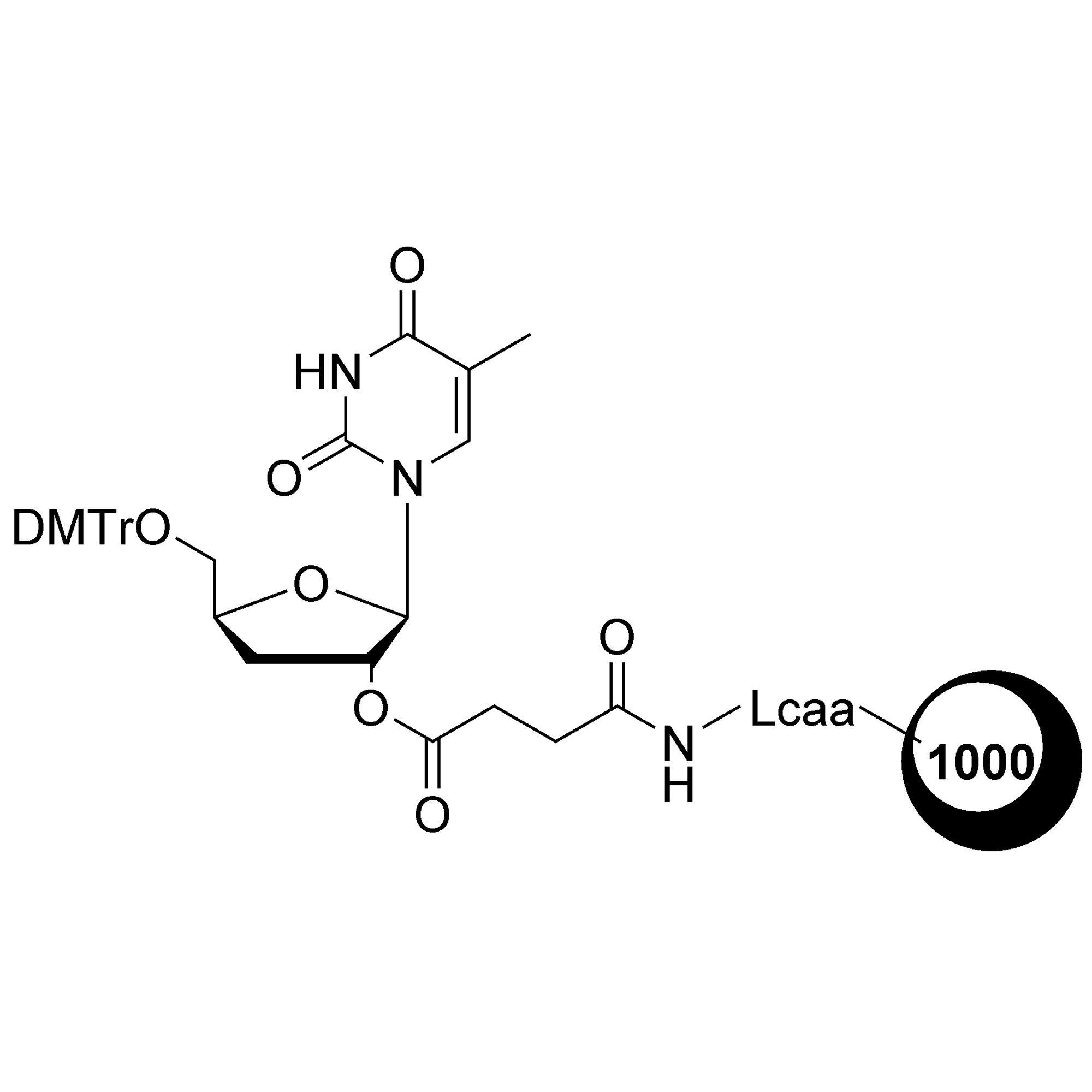 3'-dT-CPG