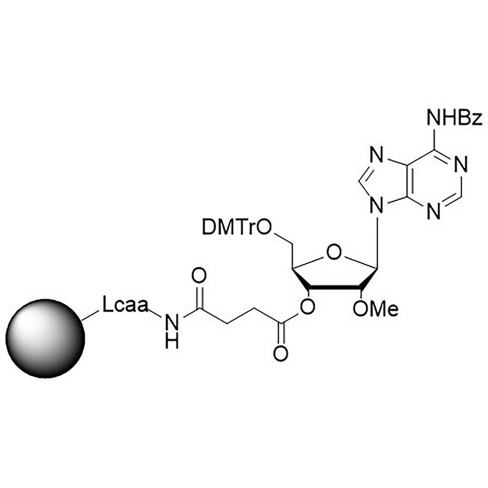 rA (Bz), 2'-OMe CNA CPG Low Bulk Density