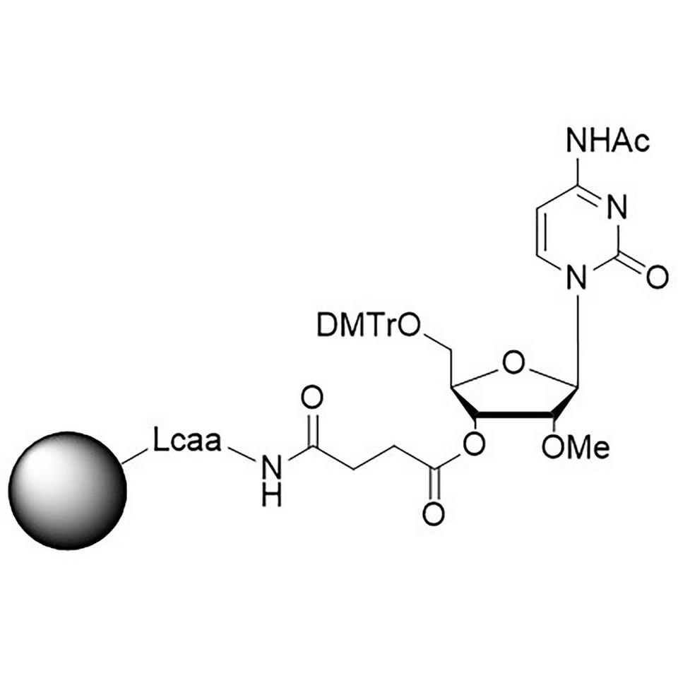 rC (Ac), 2'-OMe CNA CPG Column, 1000 Å, 1 µmol, Hybrid