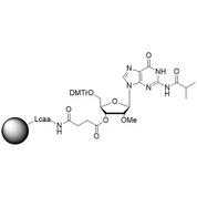 rG (iBu), 2'-OMe CNA CPG Column, 1000 Å, 1 µmol, Hybrid