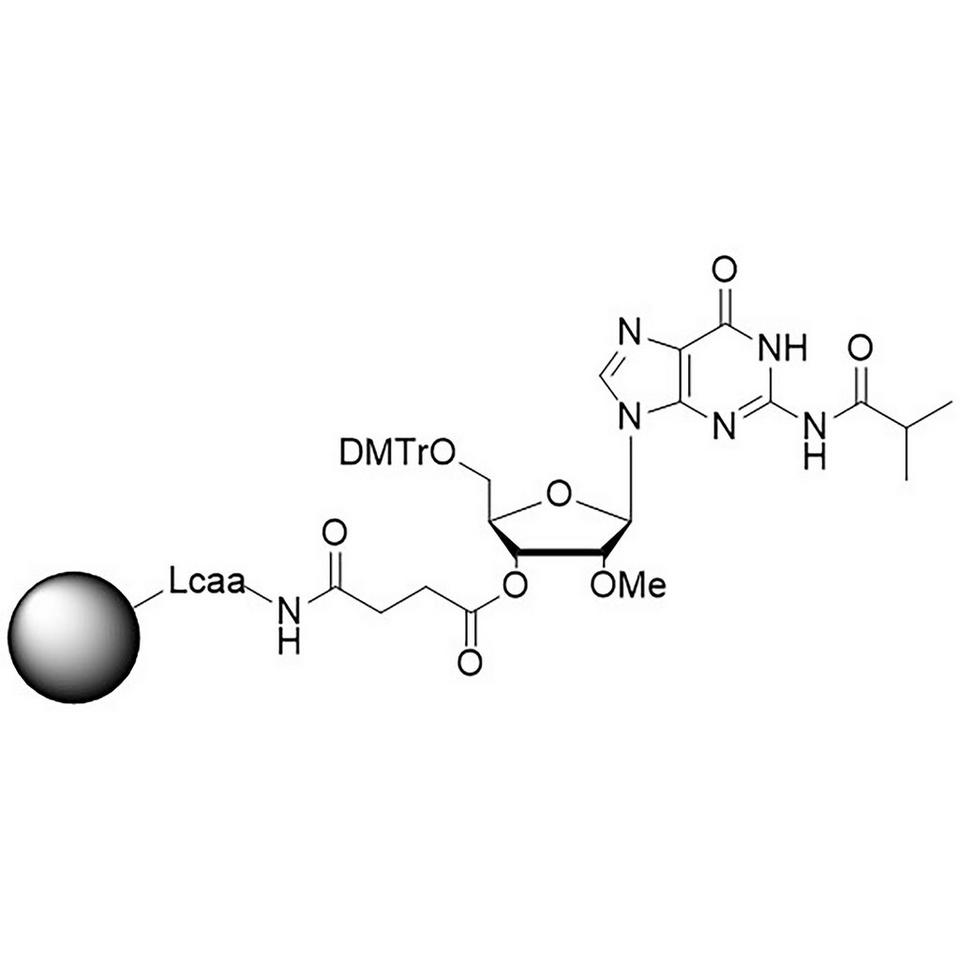 rG (iBu), 2'-OMe CNA CPG Column, 1000 Å, 1 µmol, Hybrid