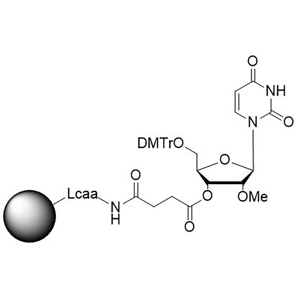 rU, 2'-OMe CNA CPG