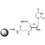 rU, 2'-OMe CNA CPG Column