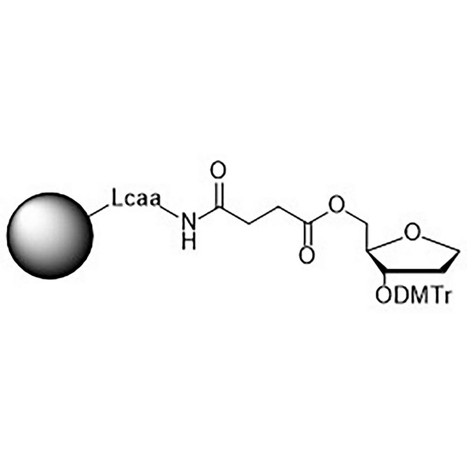 Inverse Abasic CNA CPG Low Bulk Density