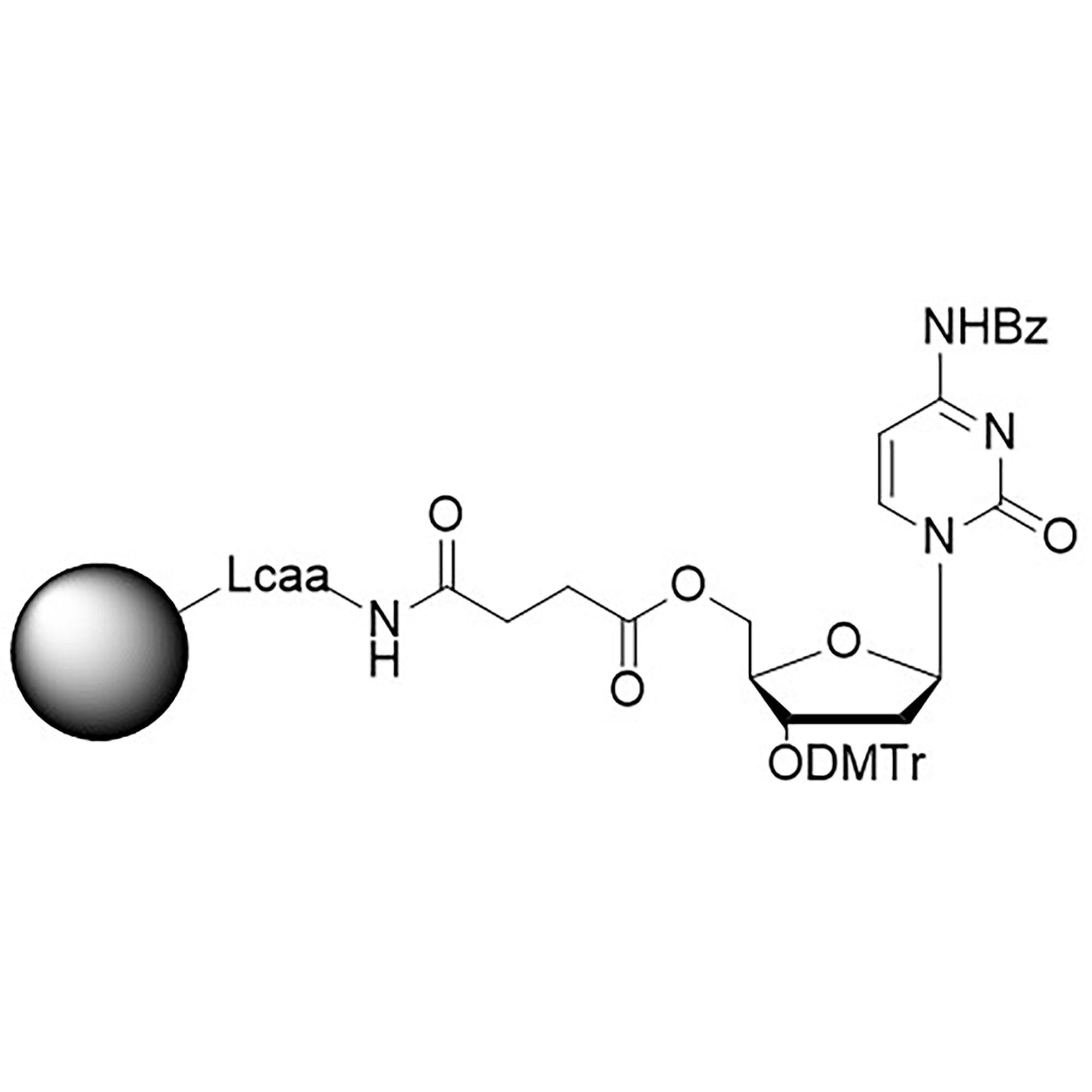 Inverse dC (Bz) AMP CPG, 2000 Å, 25-40 µmol/g, BULK (g)