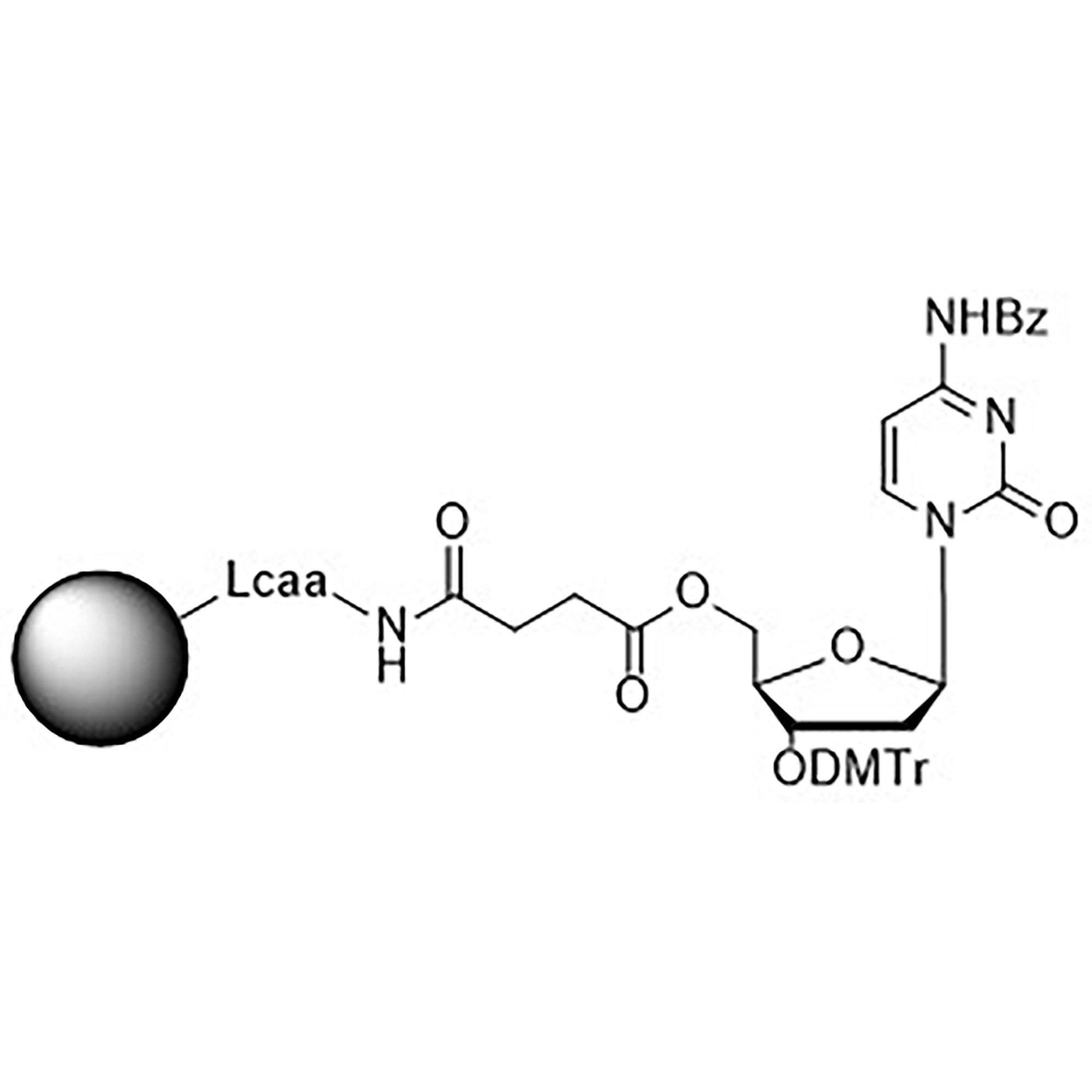 Inverse dC (Bz) CNA CPG