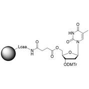 Inverse dT CNA CPG Column