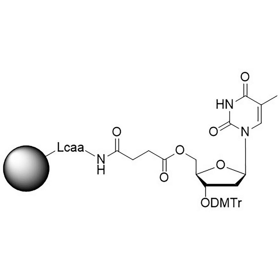 Inverse dT CNA CPG Column