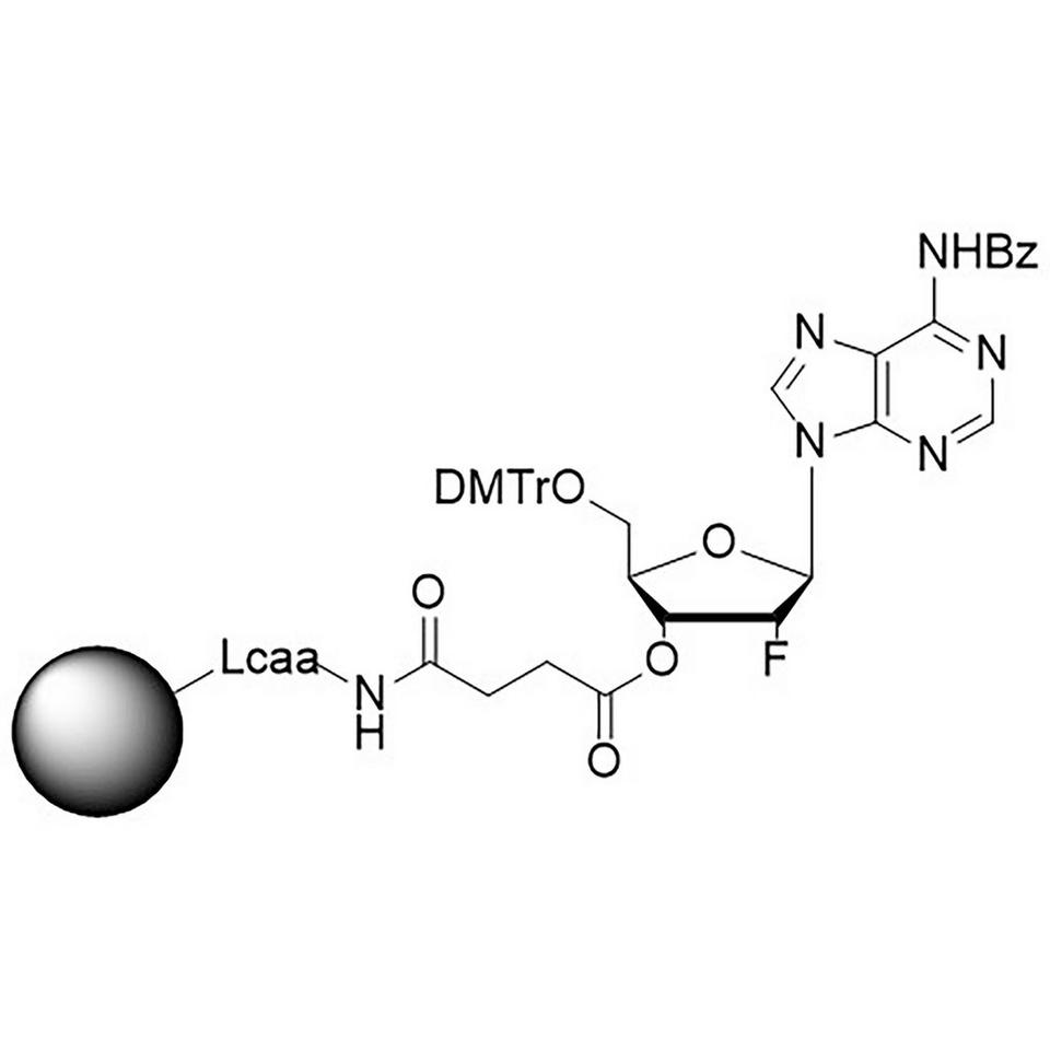 2'-Fluoro A (Bz) CNA CPG