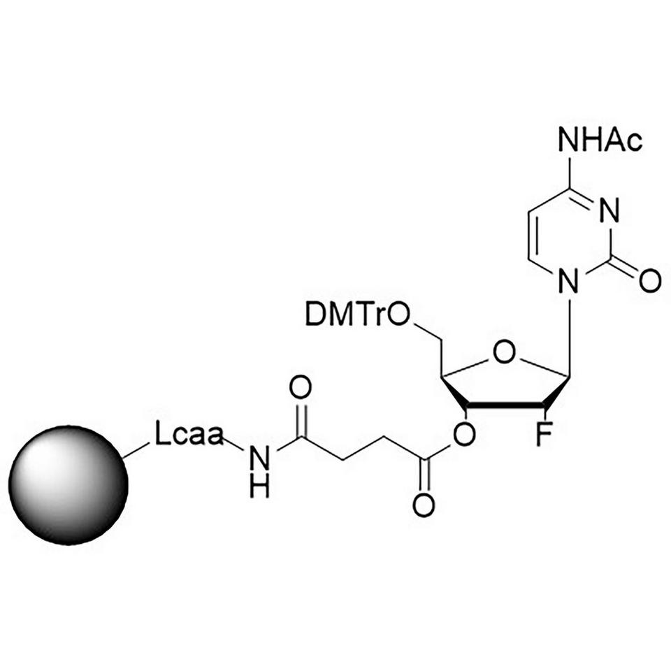 2'-Fluoro C (Ac) CNA CPG Low Bulk Density