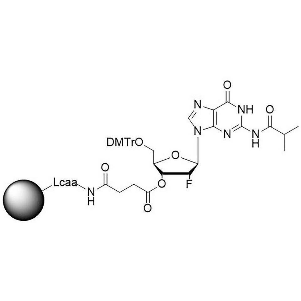 2'-Fluoro G (iBu) CNA CPG