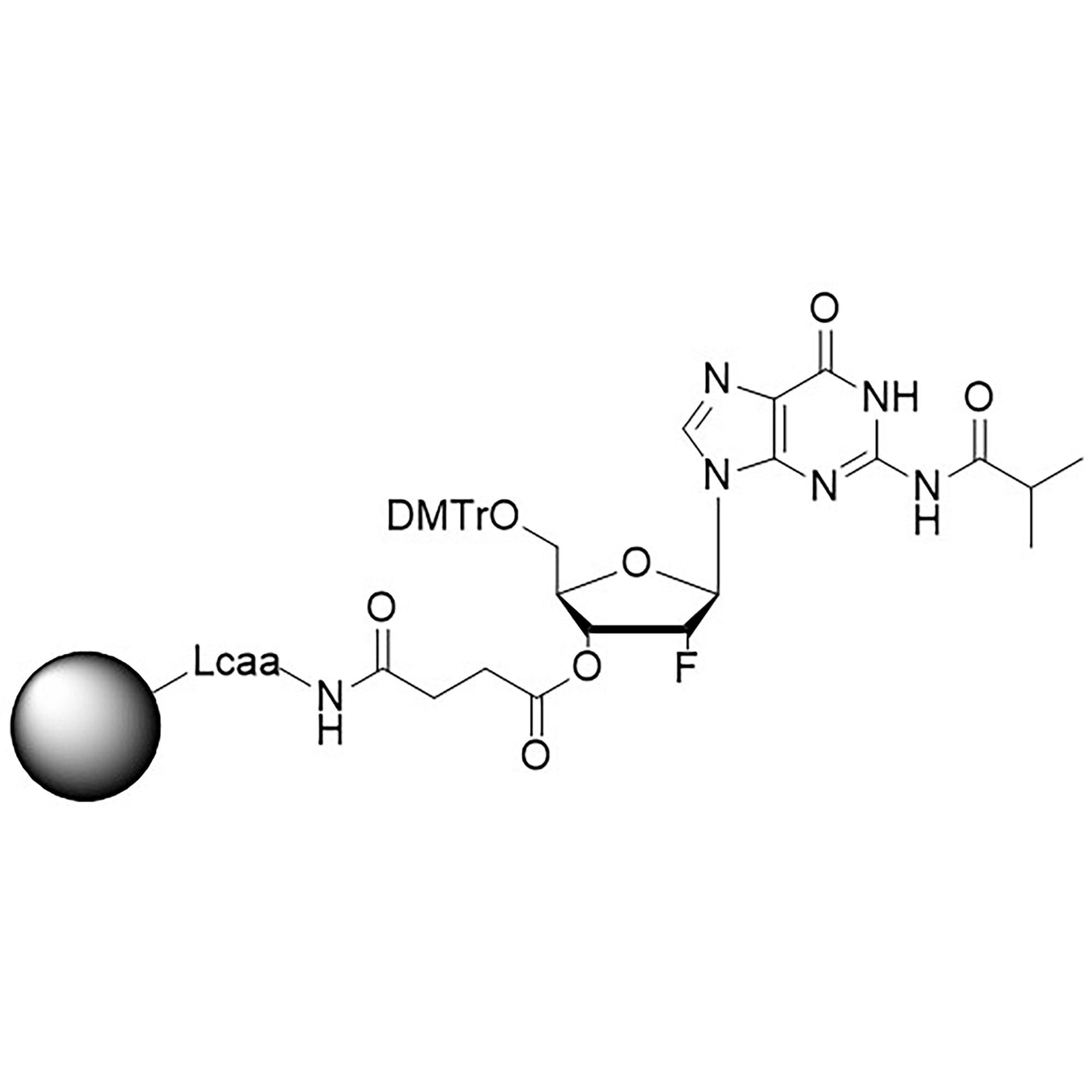 2'-Fluoro G (iBu) CNA CPG Column, 500 Å, 1 µmol, Hybrid