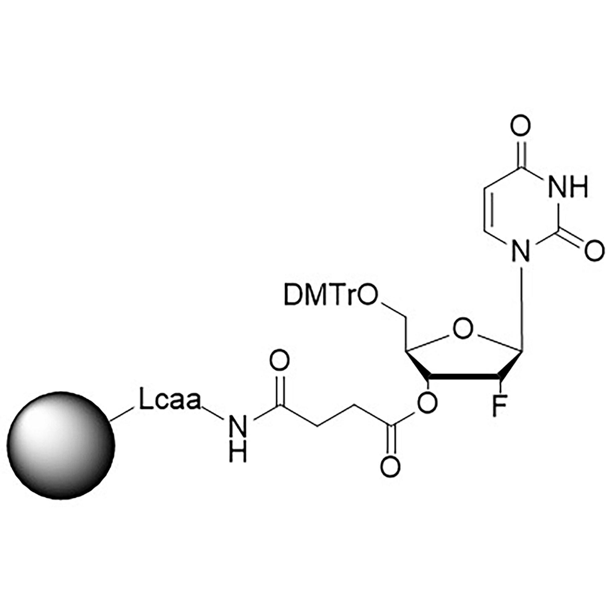 2'-Fluoro U CNA CPG Column, 600 Å, 1 µmol, Hybrid