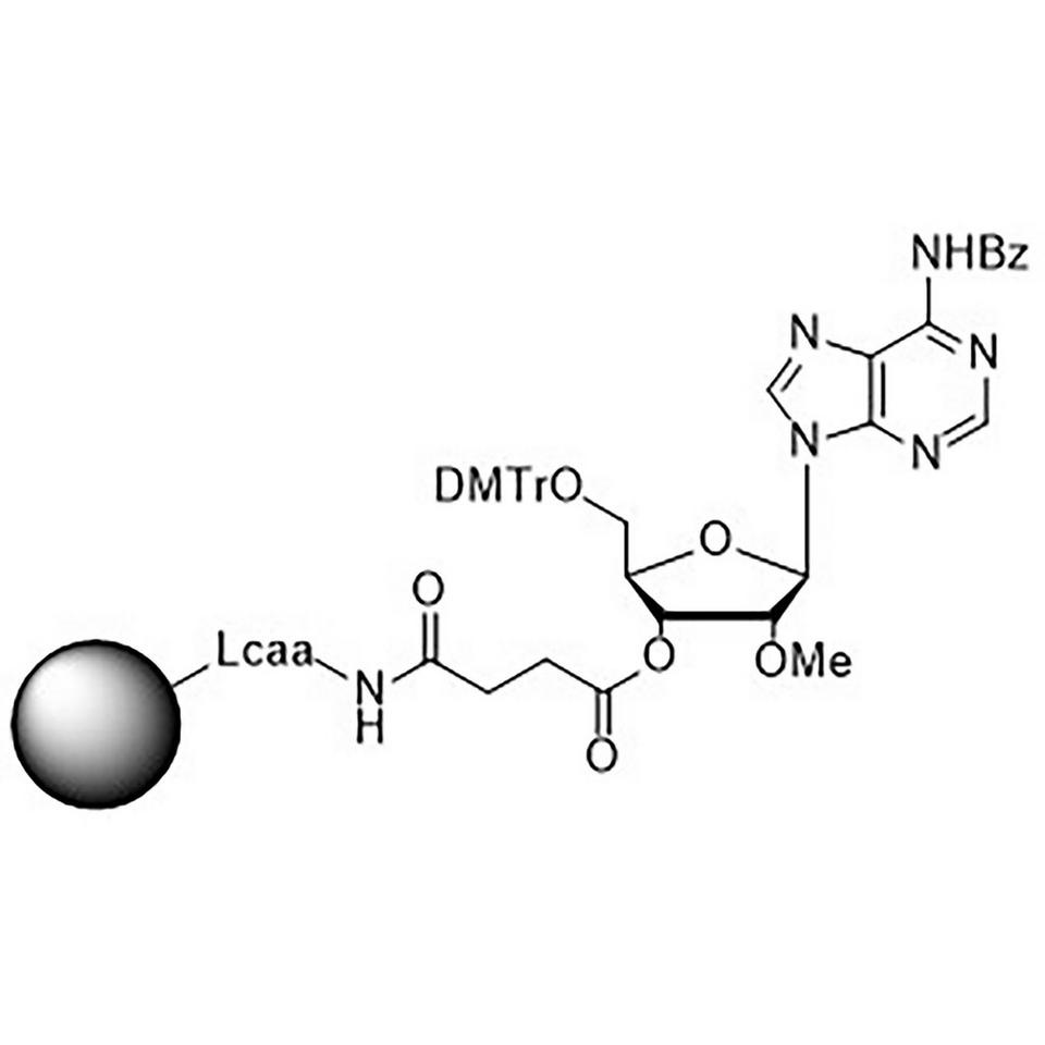 2'-O-Methyl-rA (Bz)-Suc-CPG Column