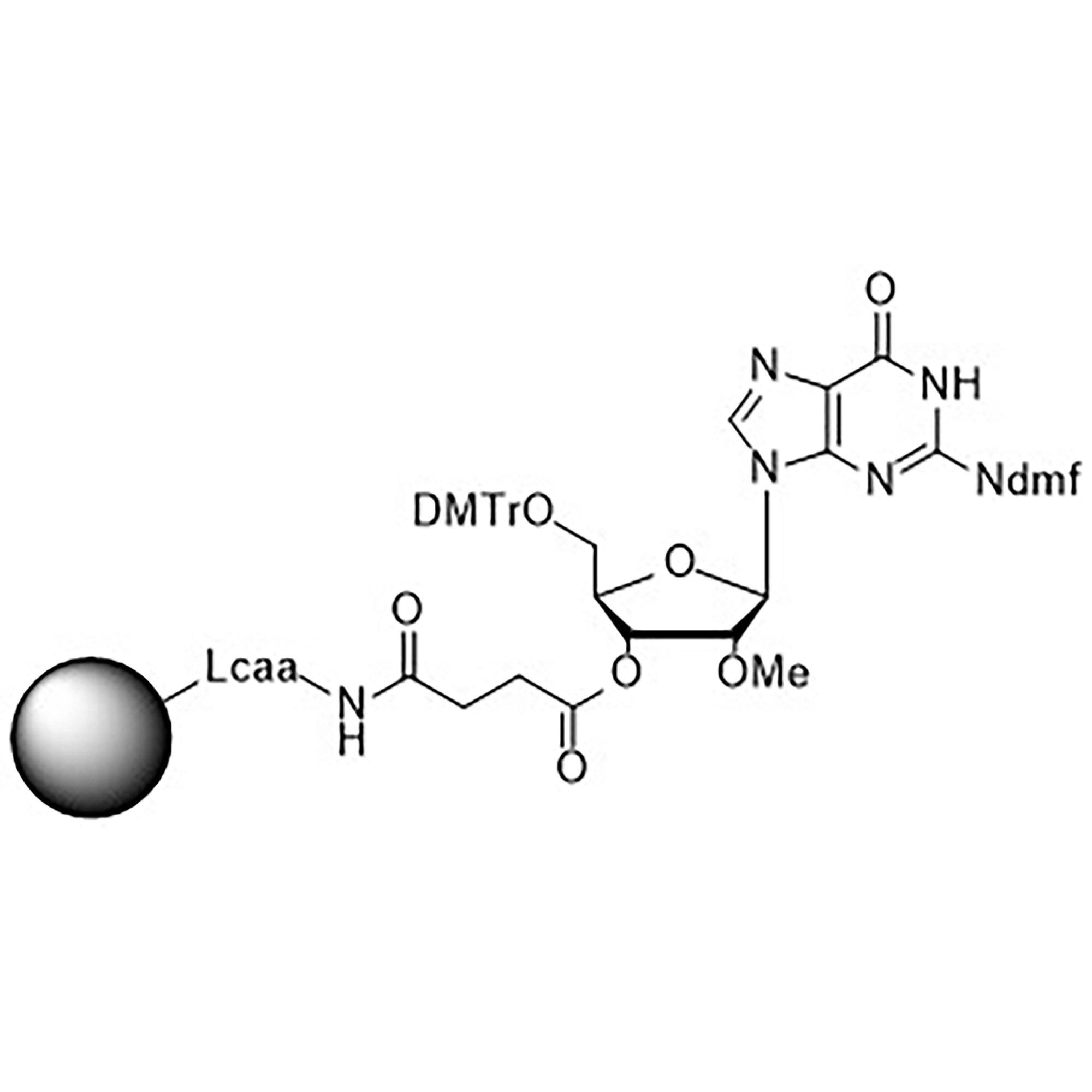 2'-O-Methyl-rG (iBu)-Suc-CPG Column
