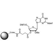 2'-O-Methyl-rG (iBu)-Suc-CPG Column