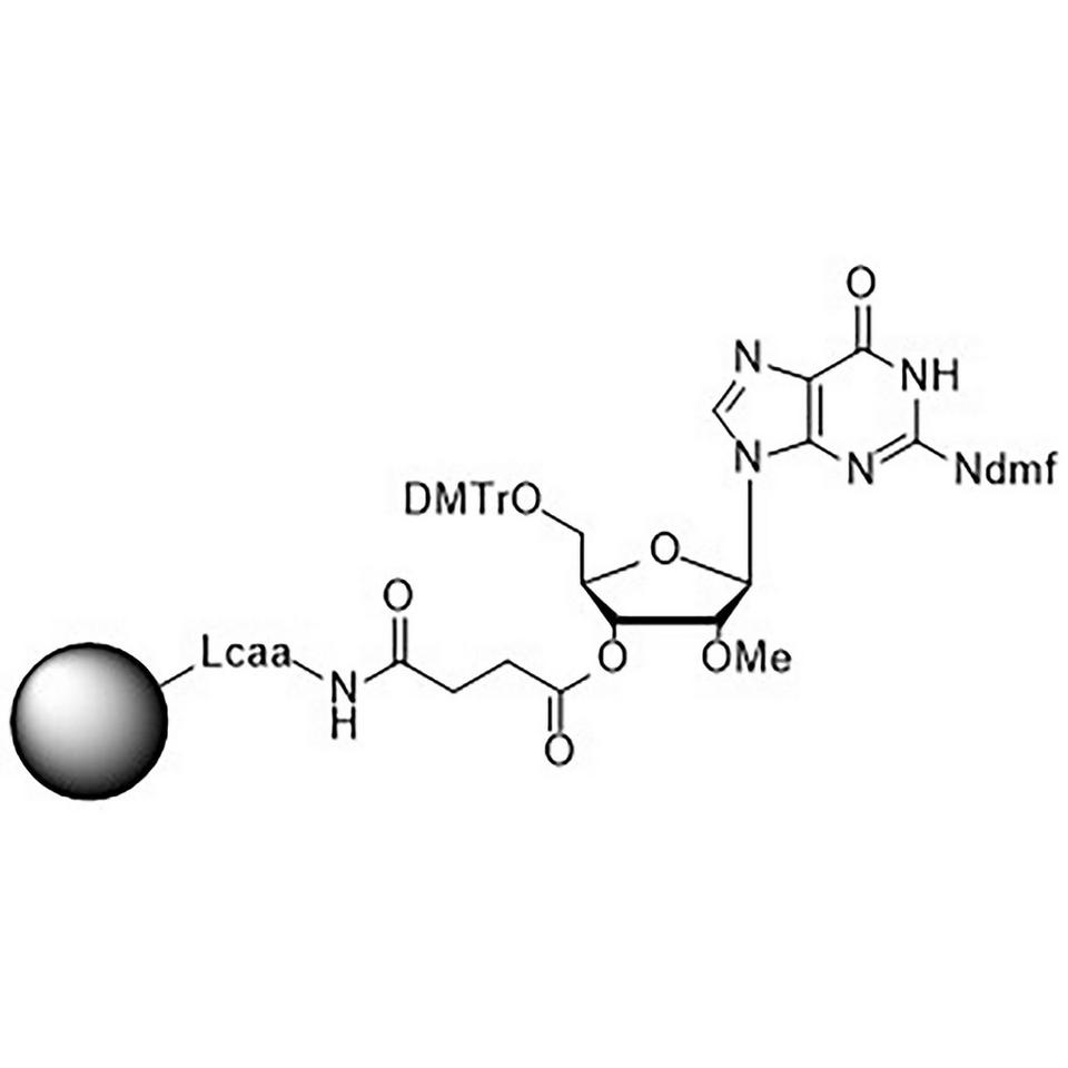 2'-O-Methyl-rG (iBu)-Suc-CPG Column