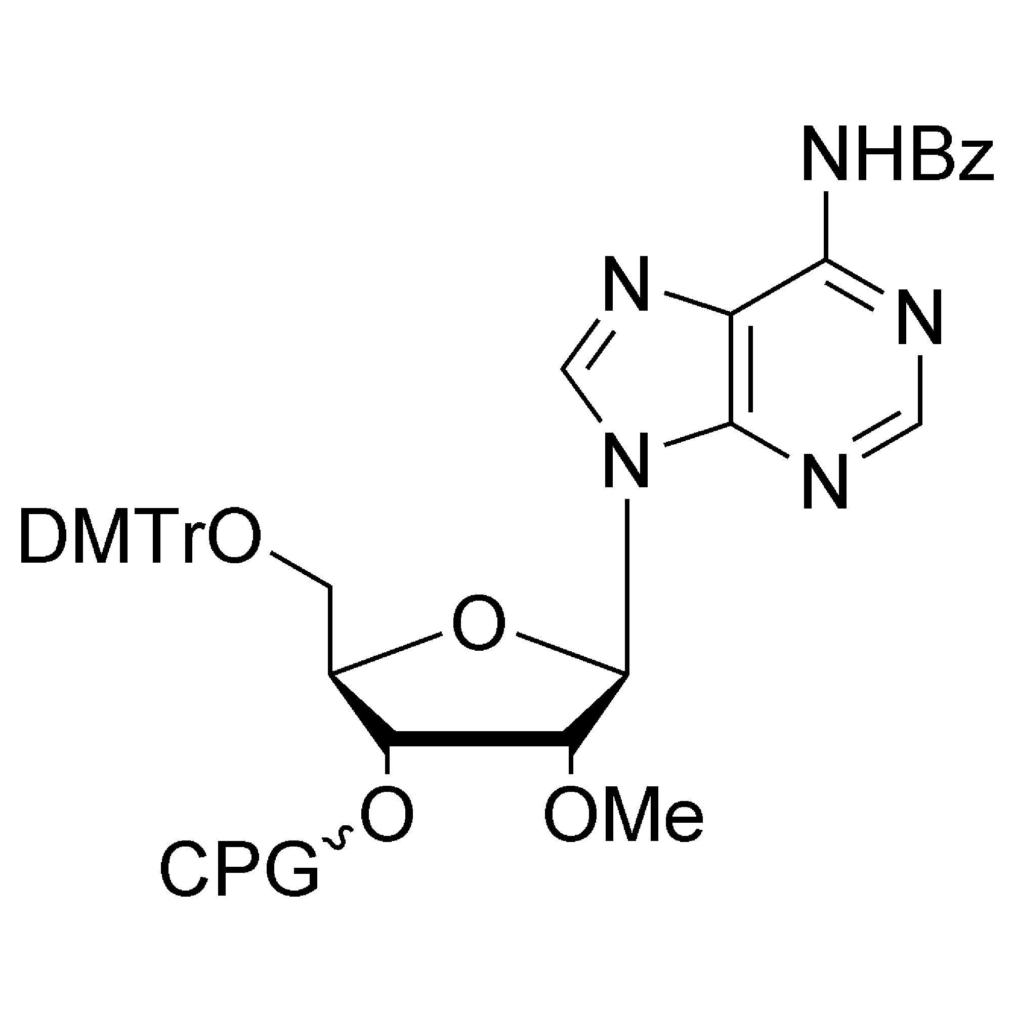 2'-OMe-A (Bz) CPG Column