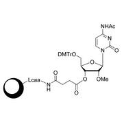 2'-OMe-C (Ac) CPG Column