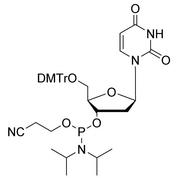 2'-OMe-C (Bz) CPG Column