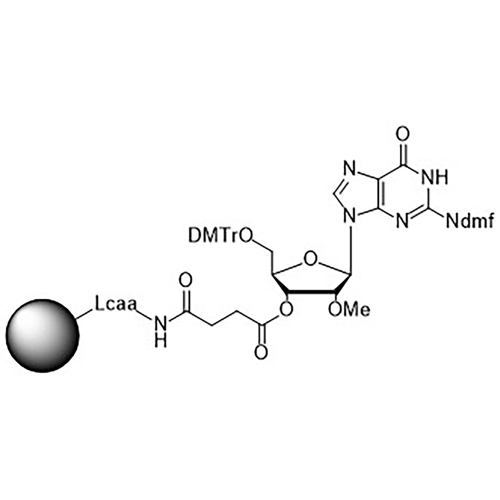 2'-OMe-G (dmf) CPG Column