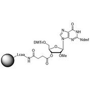 2'-OMe-G (dmf) CPG Column