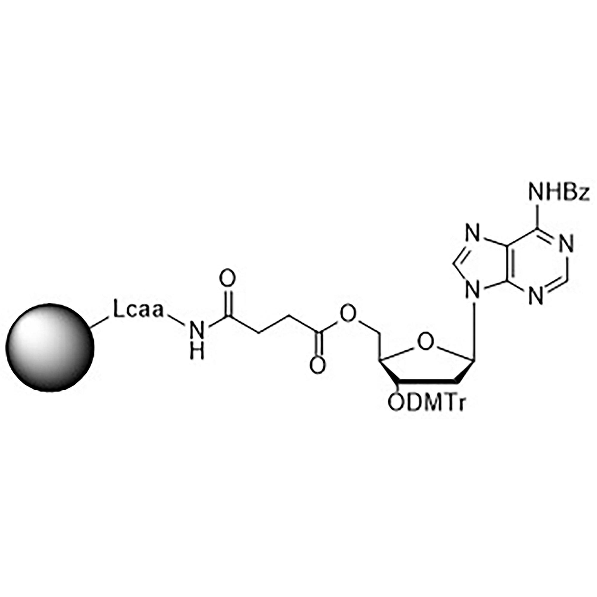 3'-DMT-dA (Bz)-Suc-CPG Column