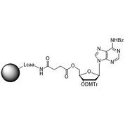3'-DMT-dA (Bz)-Suc-CPG Column